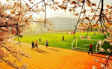 2022学校领导辞职报告6篇