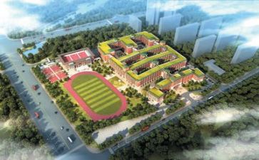 学校2023师德自查报告8篇