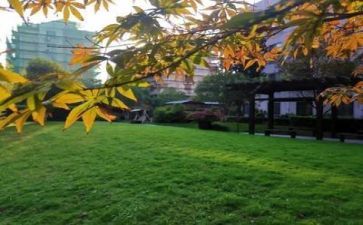 读管理学校心得体会8篇