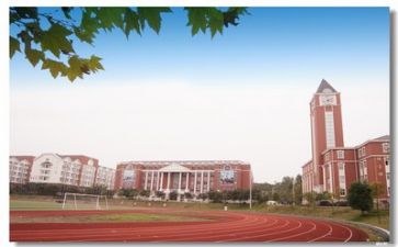 学校主题月活动方案8篇