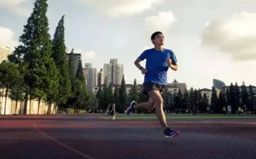 学校体育年度工作计划优质5篇
