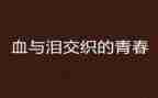 关于血与泪的心得体会参考5篇