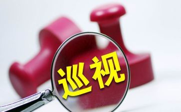 市巡查组巡查后心得体会6篇