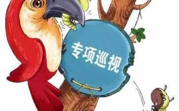 对巡视工作的心得体会6篇