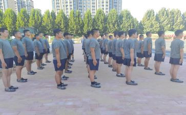美术培训学习心得体会6篇