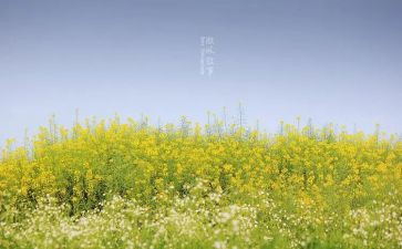 我叙事作文700字7篇