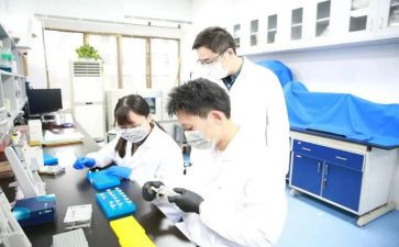 调查报告与研究报告5篇