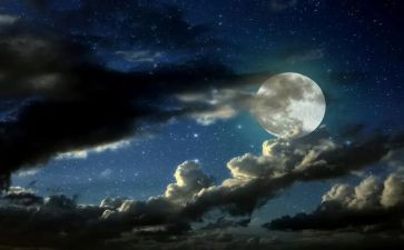 平安夜活动方案最新5篇