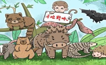敬畏自然拒绝野味作文5篇