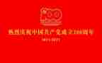 一百周年建党节心得体会5篇