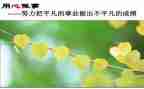 信息技术的应用心得体会优质6篇