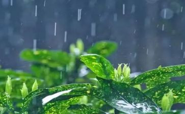 雨过天会晴作文5篇