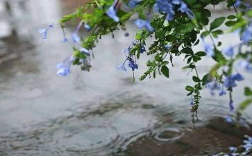春天雨作文500字作文通用6篇