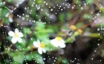 在雨中,作文模板7篇