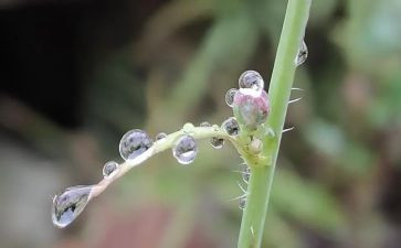 雨来的故事心得体会优秀7篇