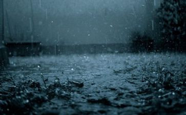 英雄雨来读后感优质7篇