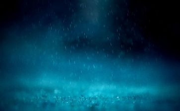 黑雨小说心得体会7篇