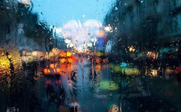 狼的孩子雨和雪心得体会参考5篇