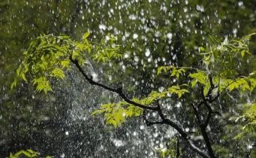 科学雨和雪教学反思通用6篇