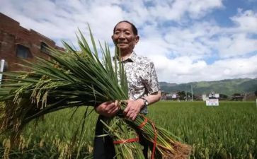 读袁隆平事迹心得体会7篇