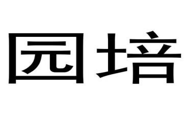 幼儿园培心得体会范文5篇