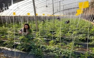 园艺站工作总结6篇