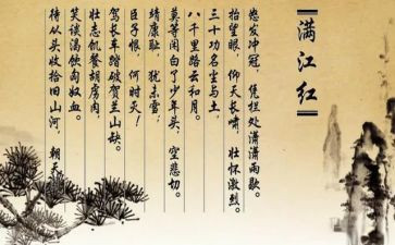 《岳飞》读后感7篇