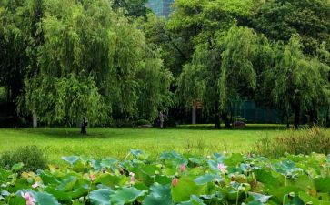雨后的演讲稿8篇