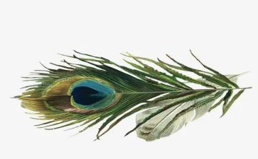 打羽毛球的作文800字5篇