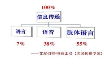 教师的语言力心得5篇