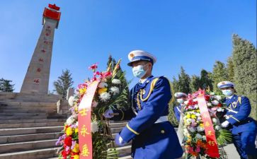 张从顺·张子权先进事迹心得体会7篇