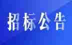 2022年建设工程招标代理合同8篇