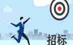 招标员工作总结精选5篇