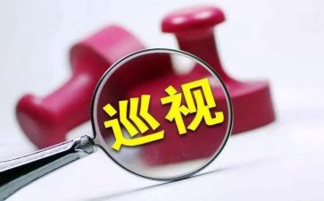 档案自查整改报告参考7篇