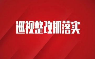 支部自查整改报告7篇