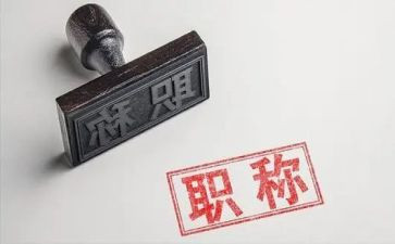 评审正高级教师工作总结7篇