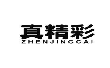 游戏真精彩作文通用7篇