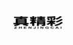 游戏真精彩作文通用7篇