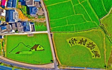 乡村振兴2024年工作总结最新6篇