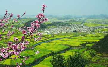 乡村振兴培训心得5篇