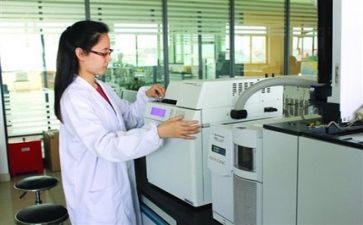 质量年终工作总结精选7篇