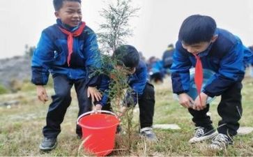 植树心得体会800字7篇