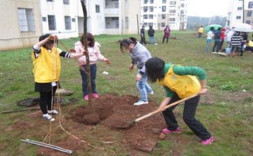 植树社会实践活动总结6篇