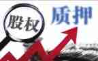 股权质押合同6篇