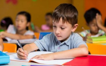 幼儿园中班个人总结教师个人总结推荐7篇