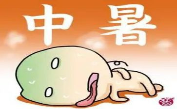 高中暑假社会实践活动总结7篇