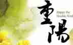 2024重阳节活动方案策划推荐5篇
