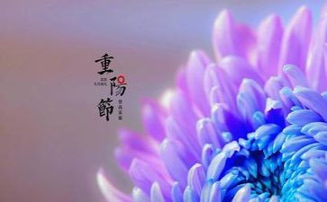 九九重阳节心得体会8篇