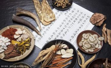 对学中医的心得体会范文7篇