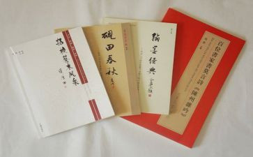 教育专著读书心得体会教师6篇